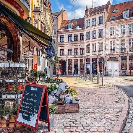 Le Loft Du Pelletier * Lille