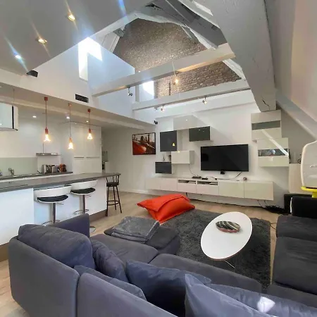 Le Loft Du Pelletier * Lille