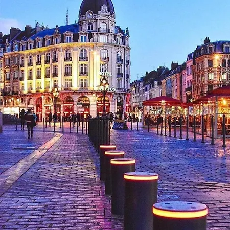 Le Loft Du Pelletier Apartament Lille
