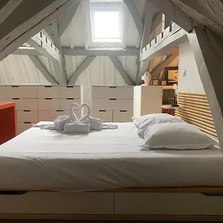 Le Loft Du Pelletier شقة *